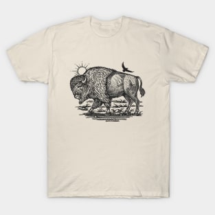 American Bison At Sunrise Field. T-Shirt